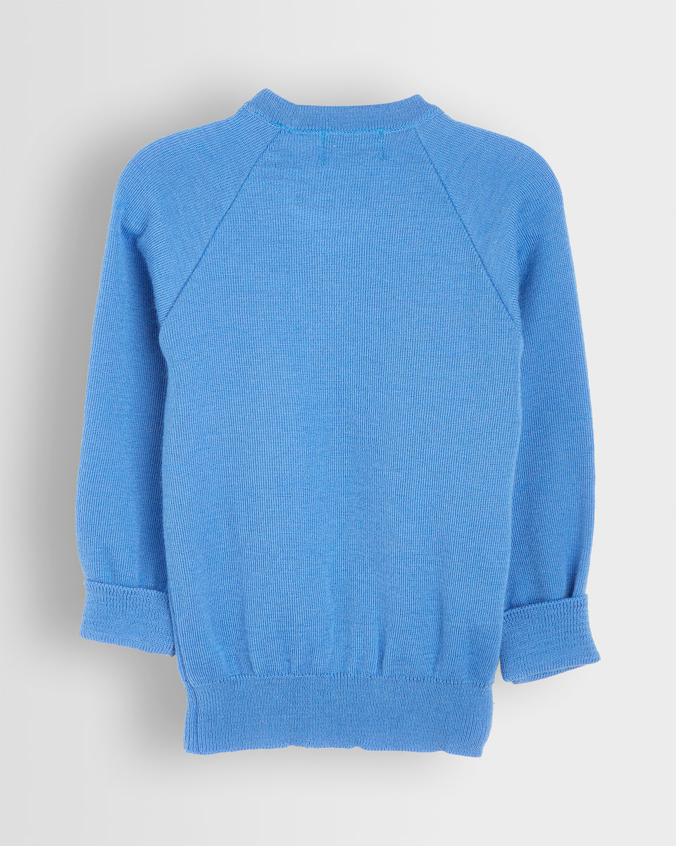 Sky blue jumper on sale ladies