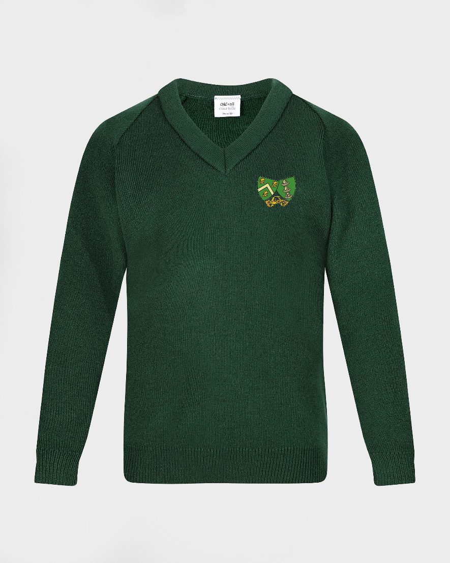 Unisex Green V Neck Pullover
