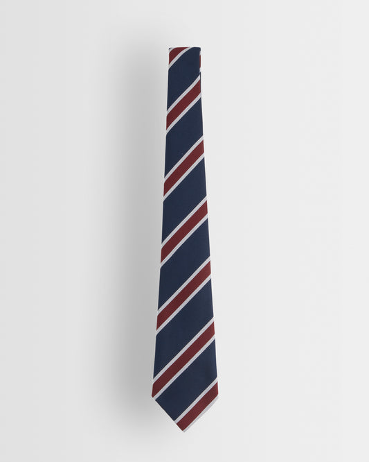 Unisex Striped Tie