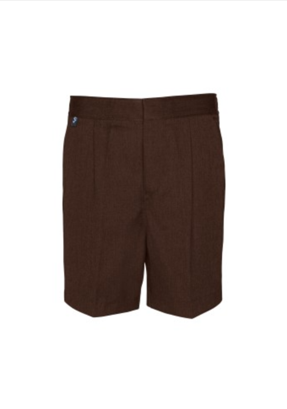 Boys Brown Shorts