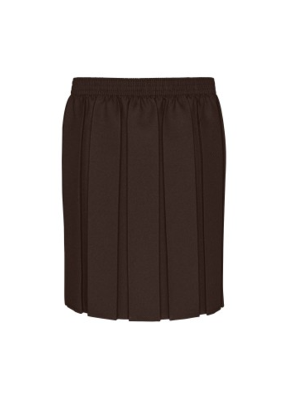 Girls Brown Skirt