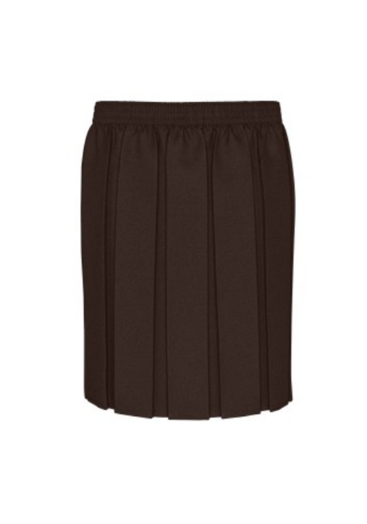 Girls Brown Skirt