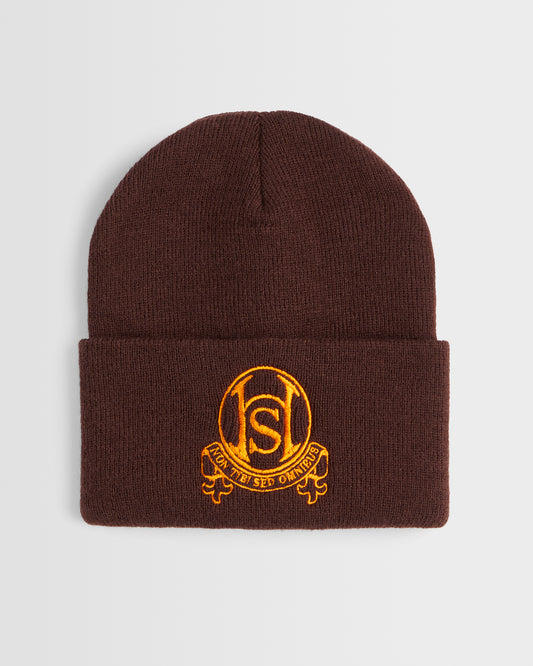 Brown Beanie