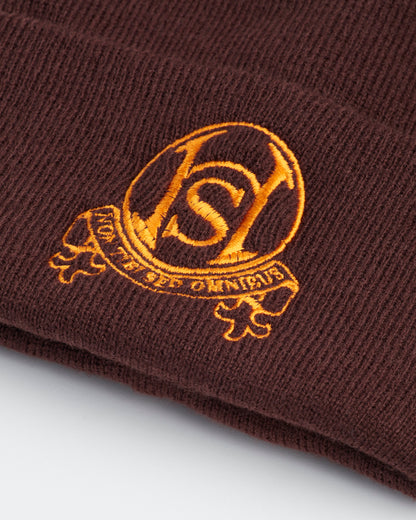 Brown Beanie