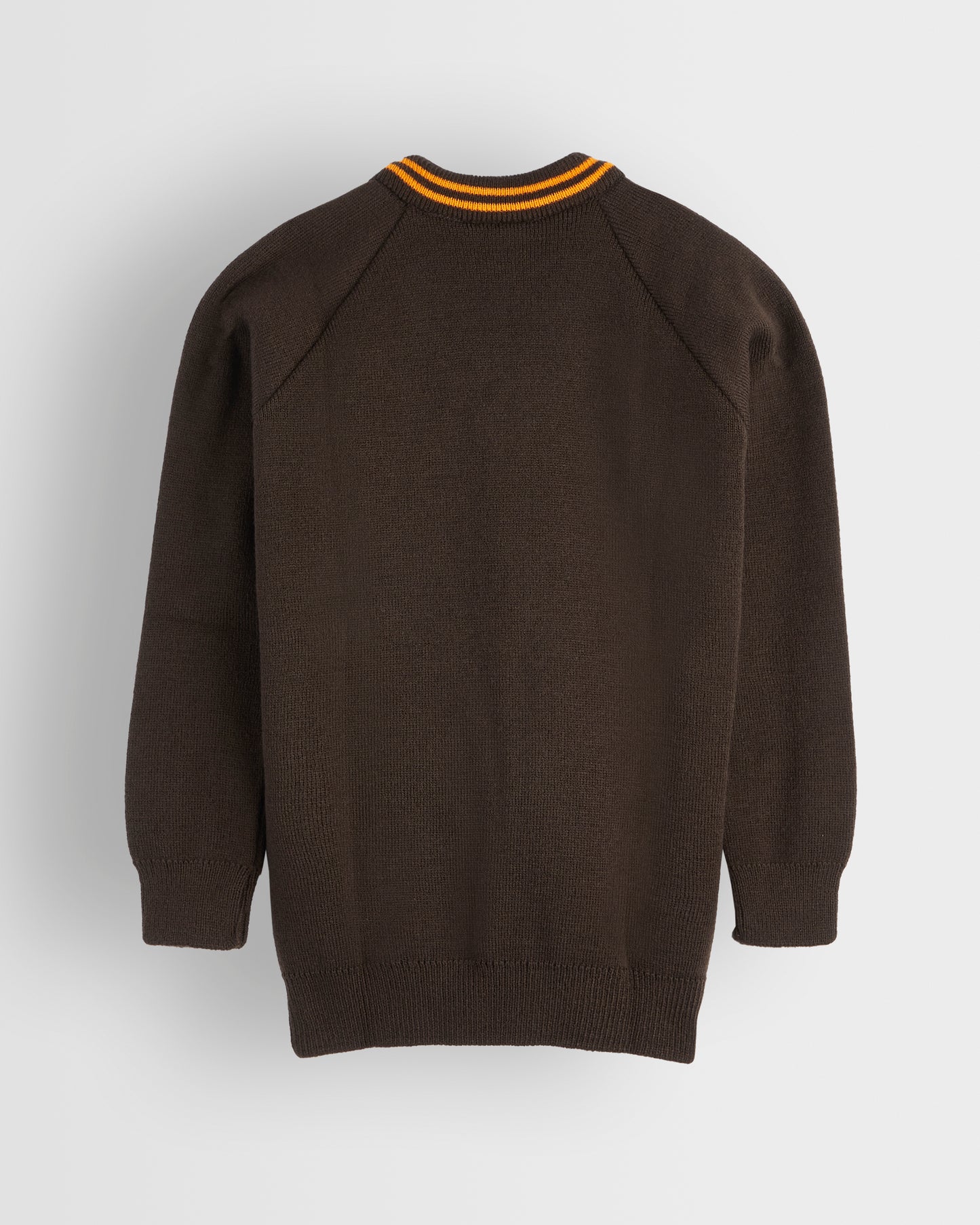 Brown V-Neck Jumper with Amber Trim