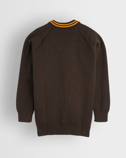 Brown V-Neck Jumper with Amber Trim
