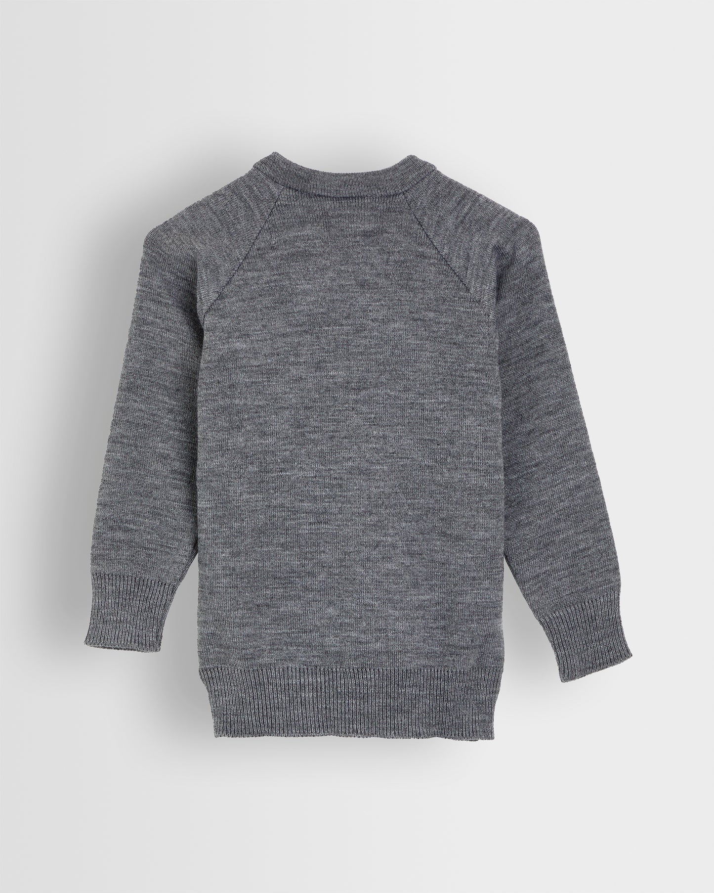 Back view of a grey unisex pullover with school branding, with a V-neck and long sleeves.