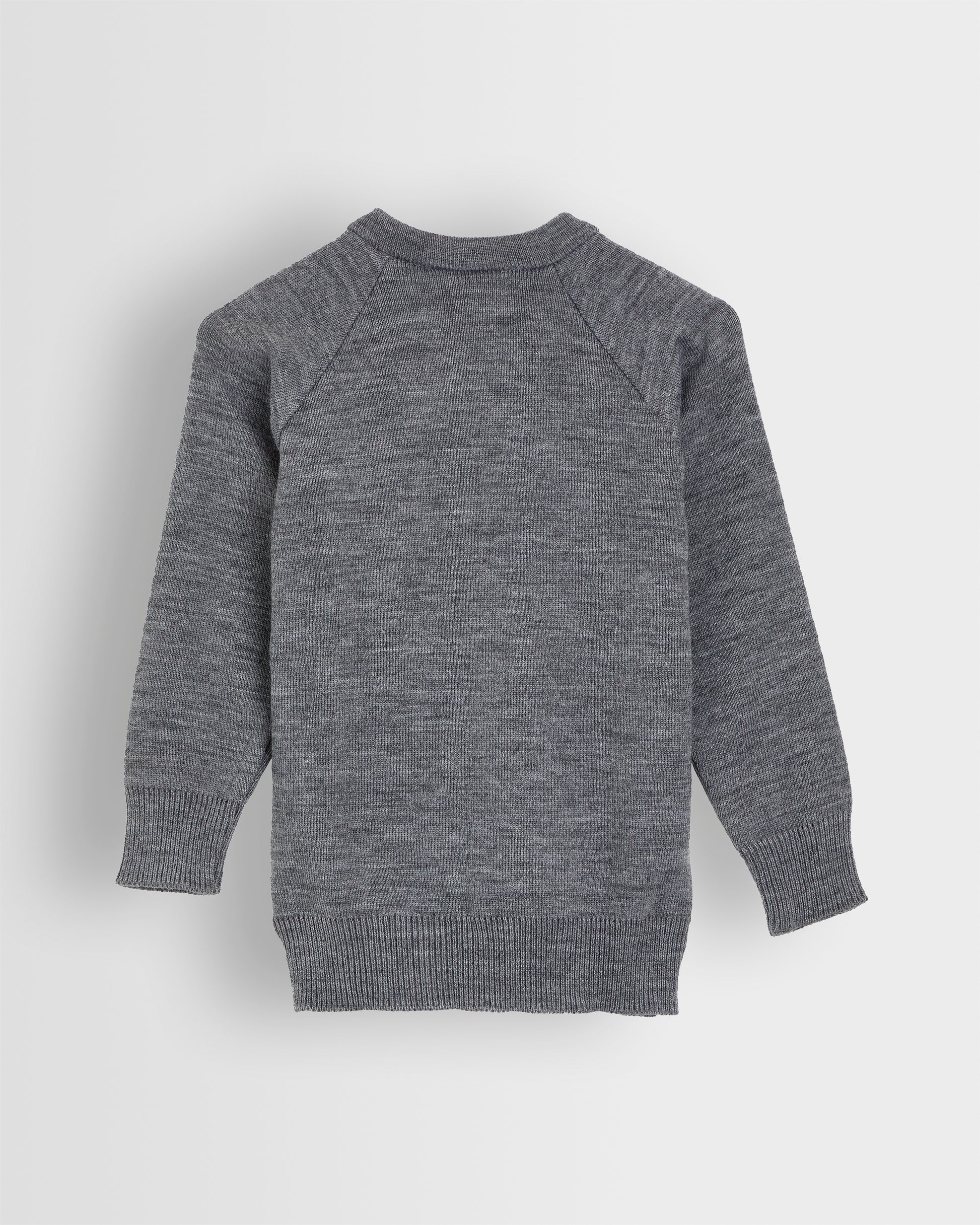 Back view of a grey unisex pullover with school branding, with a V-neck and long sleeves.