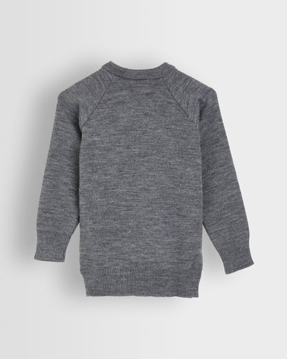 Back view of a grey unisex pullover with school branding, with a V-neck and long sleeves.