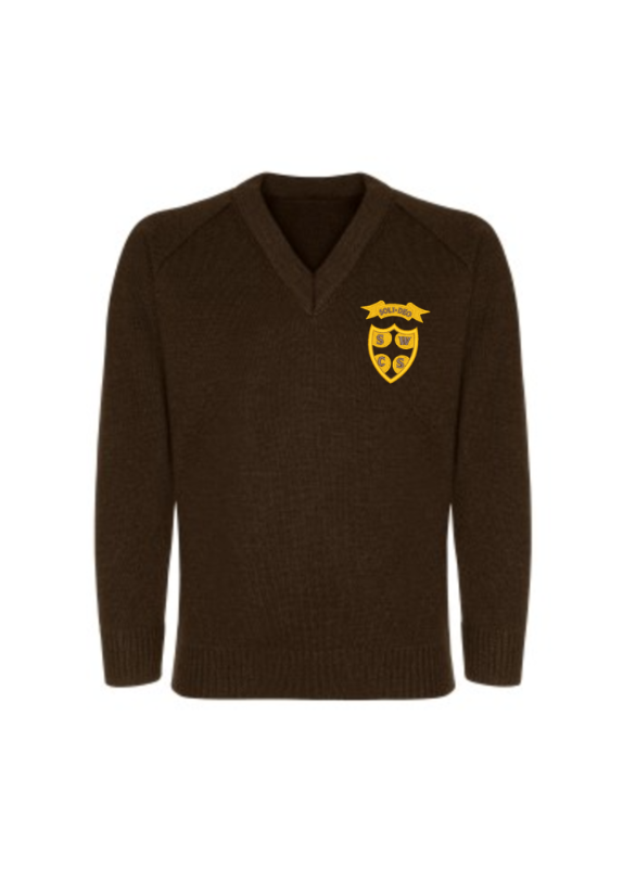 Boys Brown V-Neck Jumper