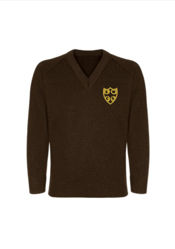 Boys Brown V-Neck Jumper