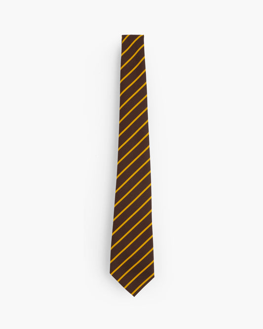 Brown and Gold School Ties