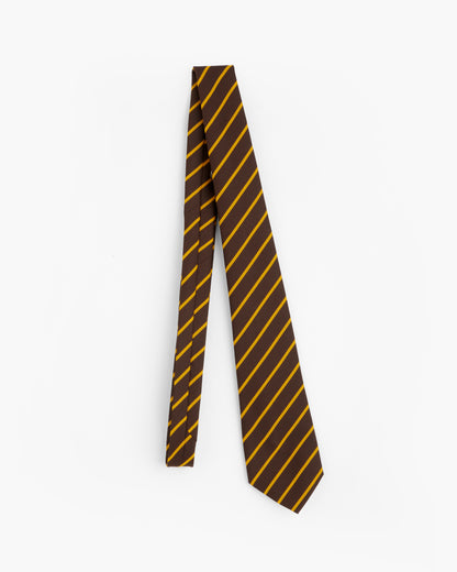 Brown and Gold School Ties
