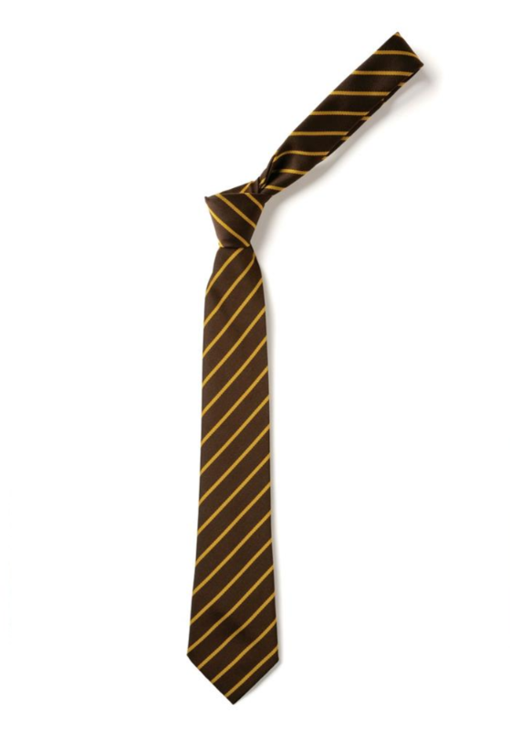 Brown and Gold School Ties