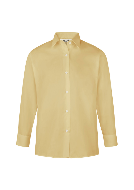 Girls Gold Long Sleeved Blouse
