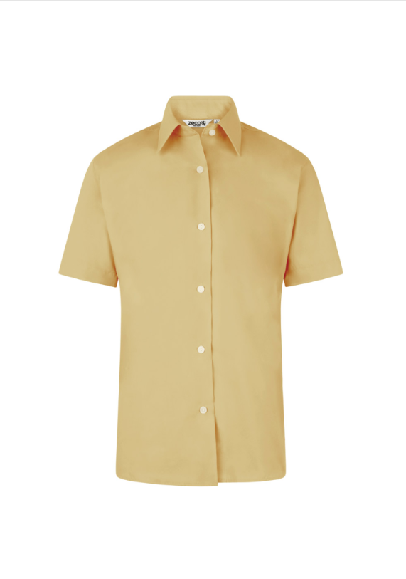 Girls Gold Short Sleeved Blouse