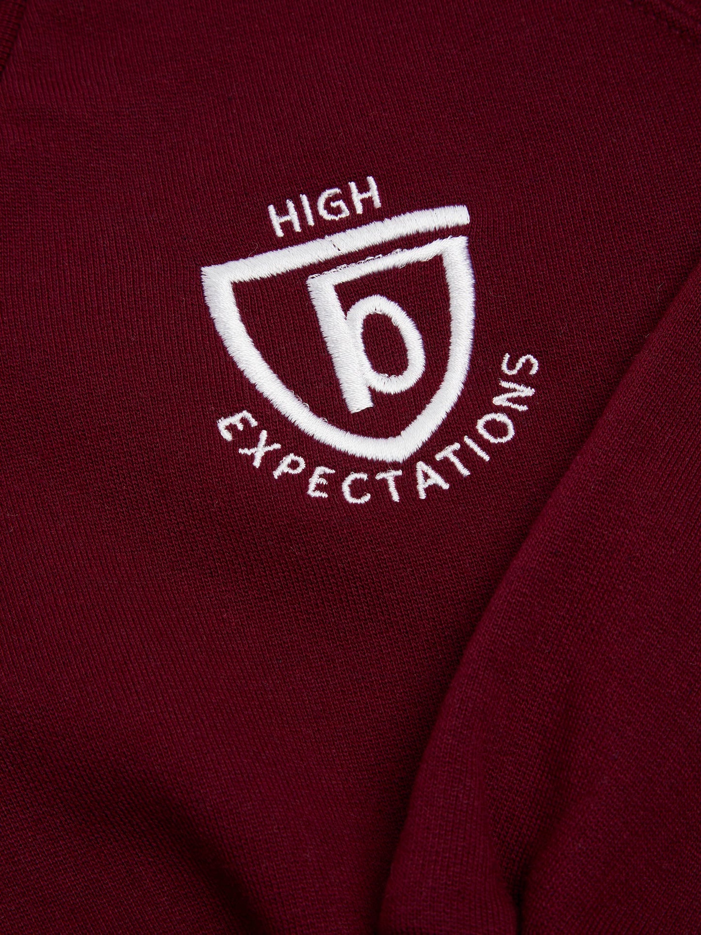 Unisex Maroon V Neck Sweatshirt