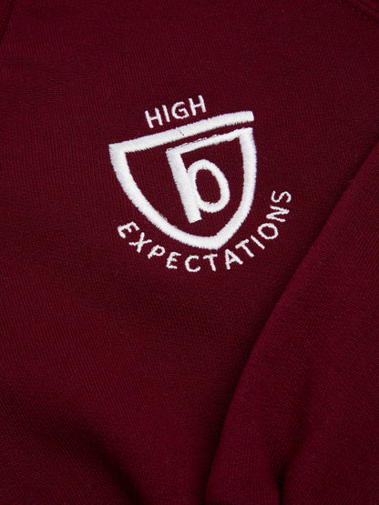 Unisex Maroon V Neck Sweatshirt