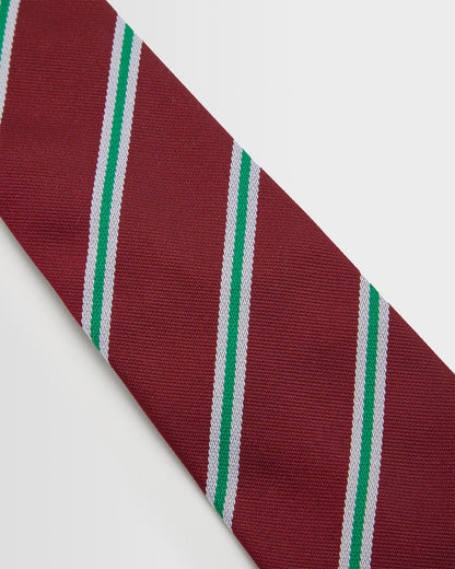 Unisex House Clip On Tie