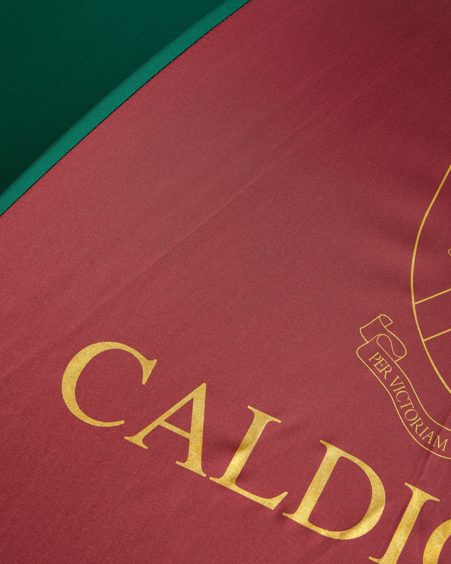 Green/Burgundy Umbrella