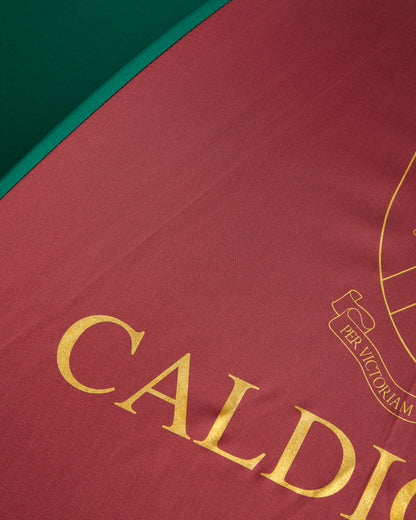 Green/Burgundy Umbrella
