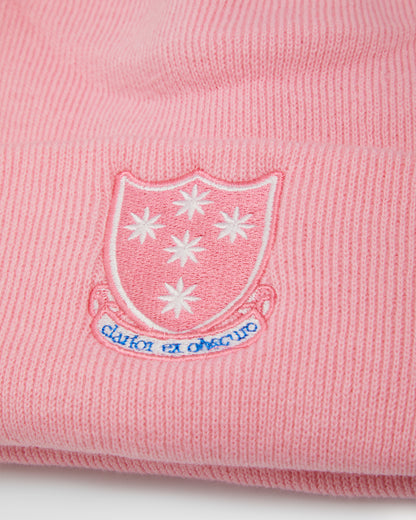 Unisex Pink Beanie Hat