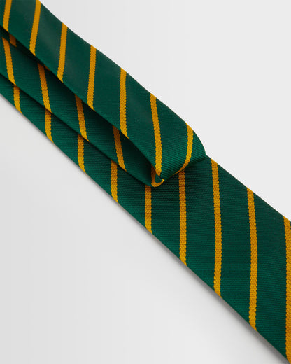 Unisex Green/Gold Tie