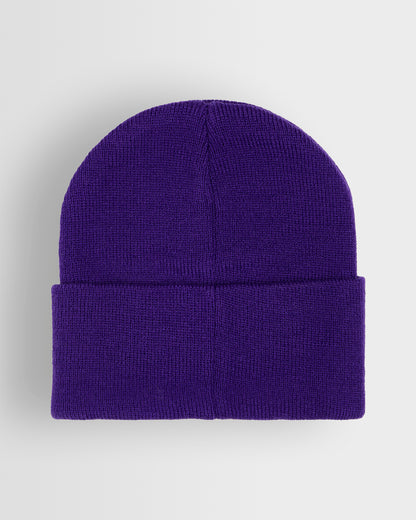 Purple Ski Hat