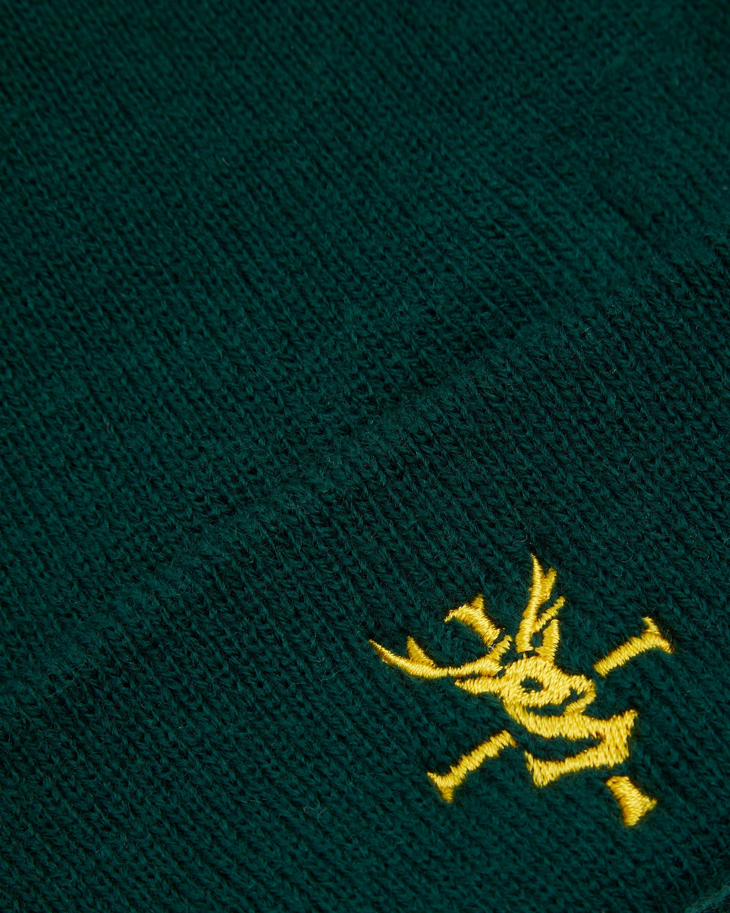 Green Ski Hat