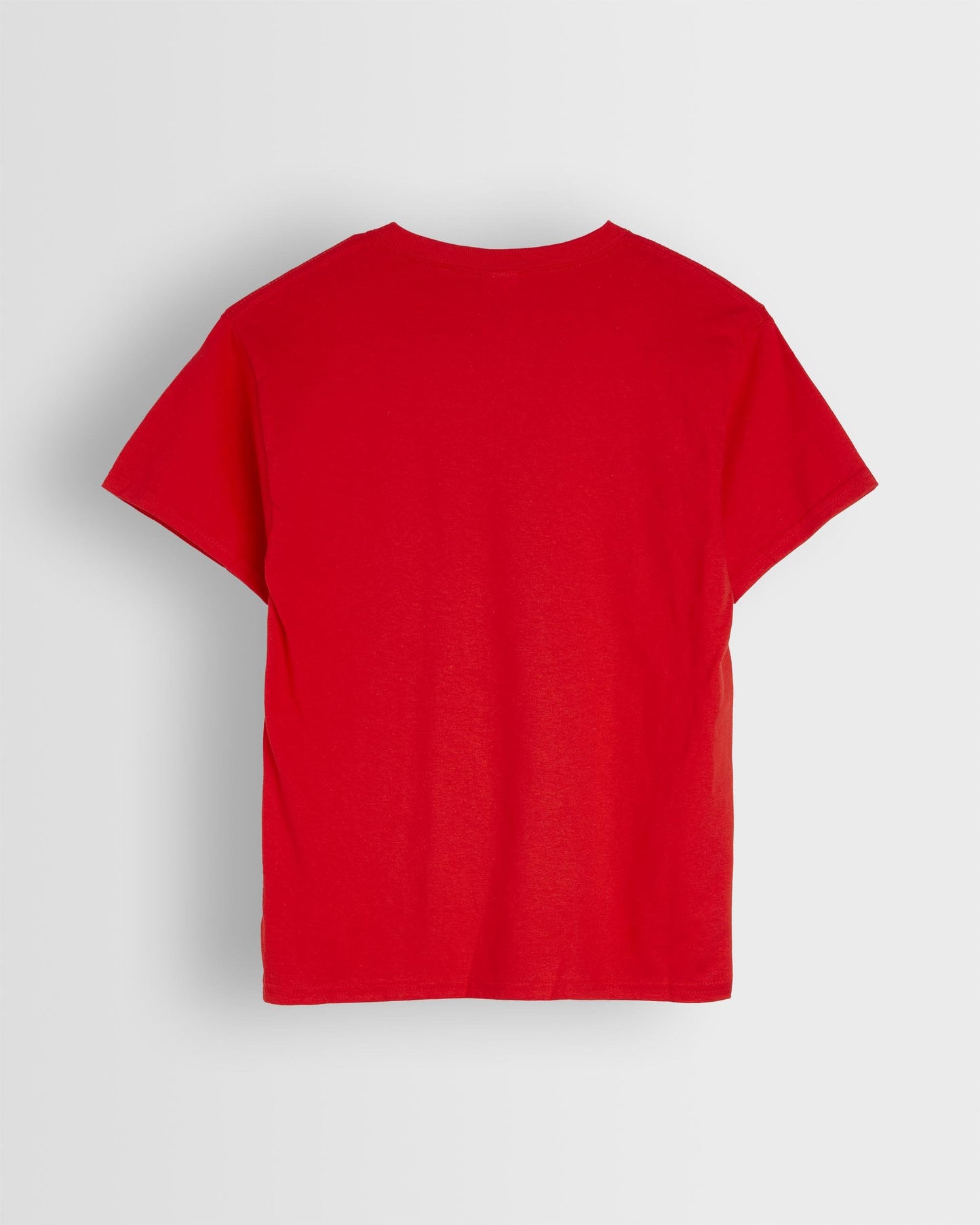 Unisex House T-Shirt- New Sizes