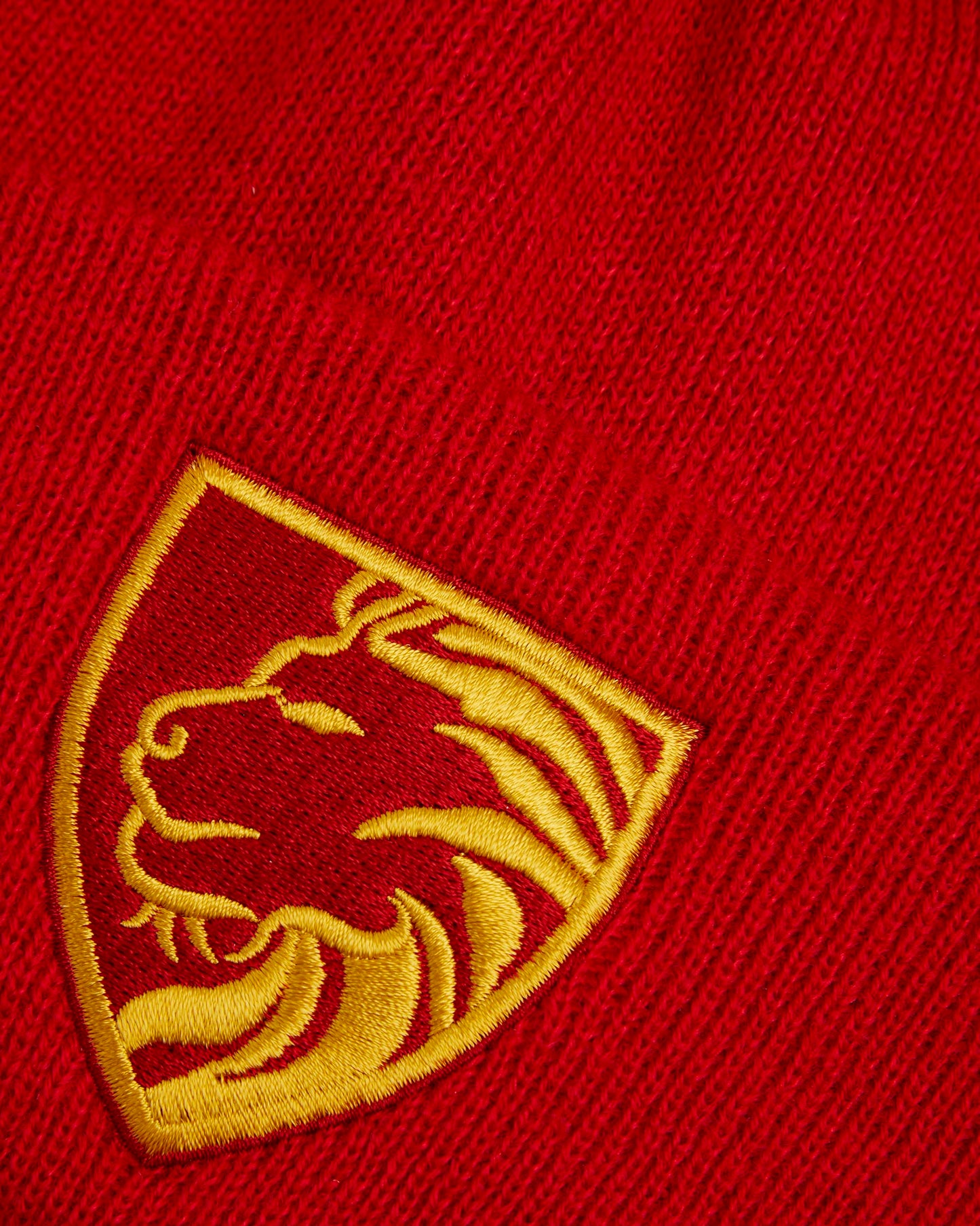 Red Ski/Beanie Hat