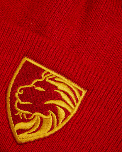 Red Ski/Beanie Hat