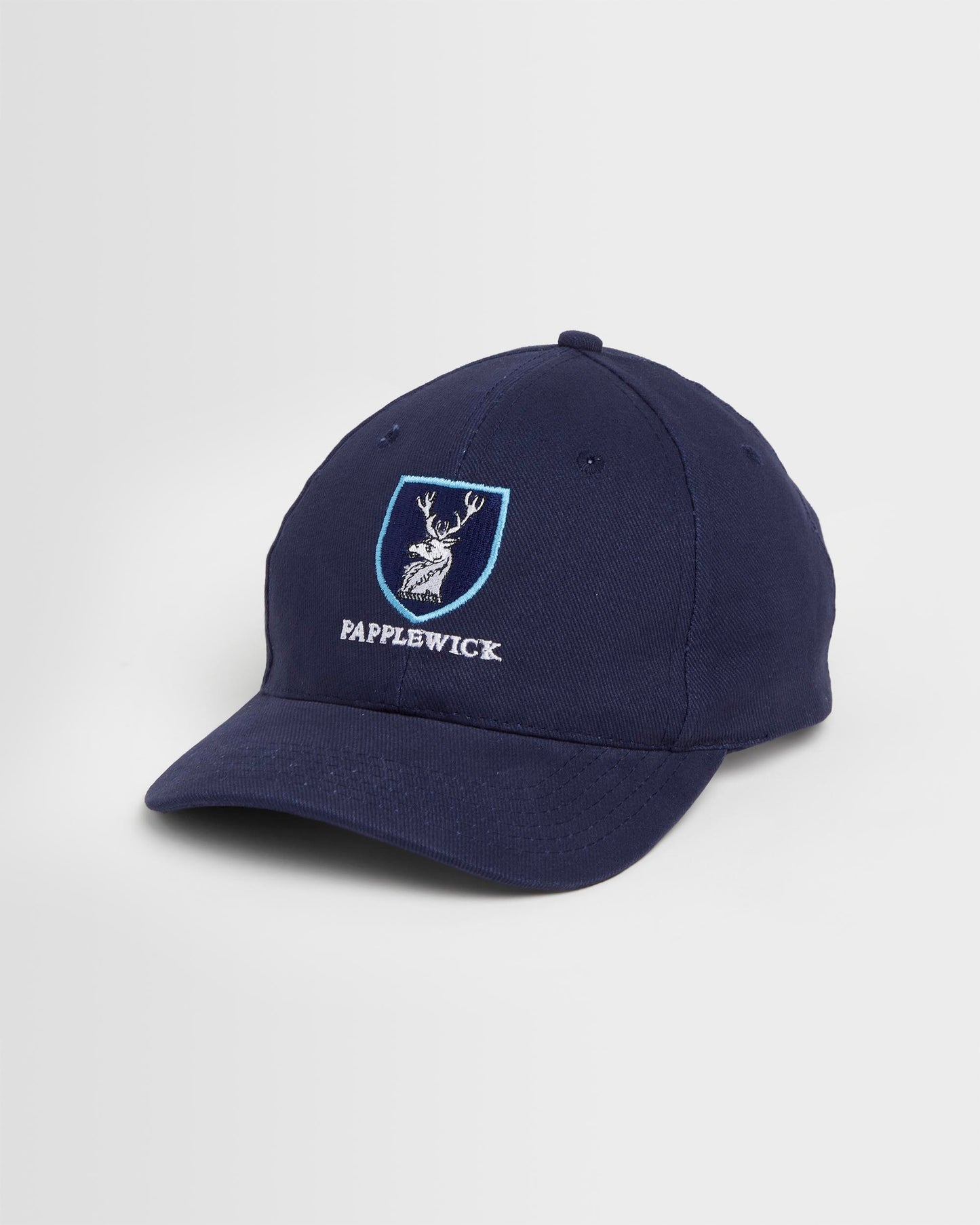 Navy Baseball Cap