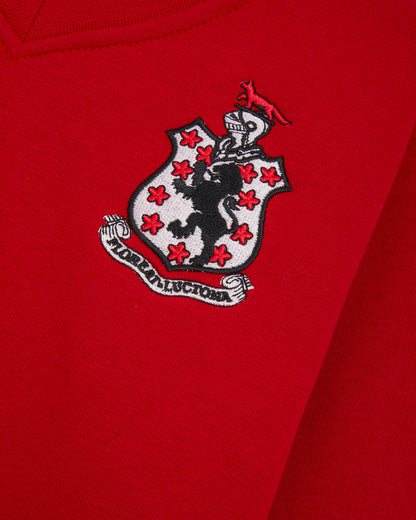 Boys Red V Neck Sweat Top