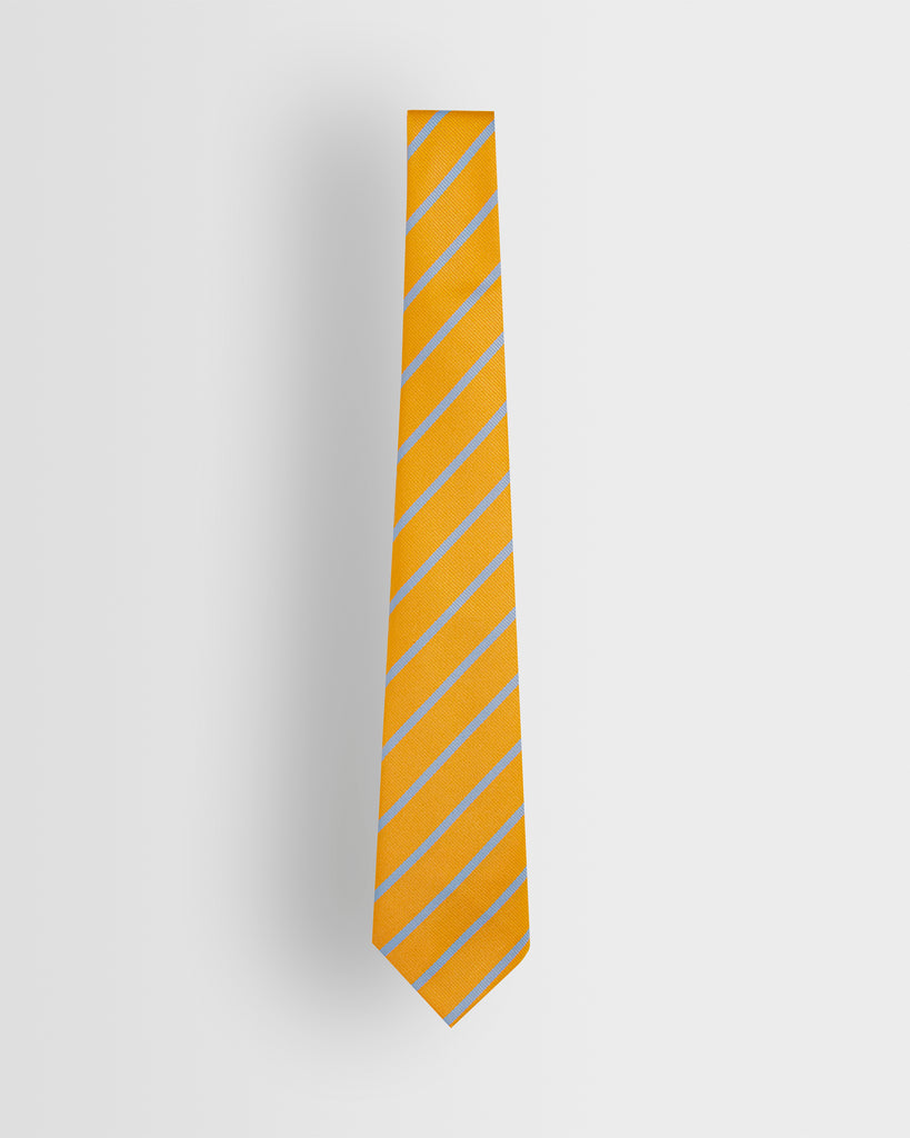 Yellow/Blue Tie