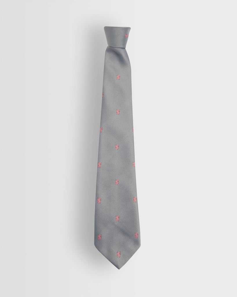 Boys Grey Tie