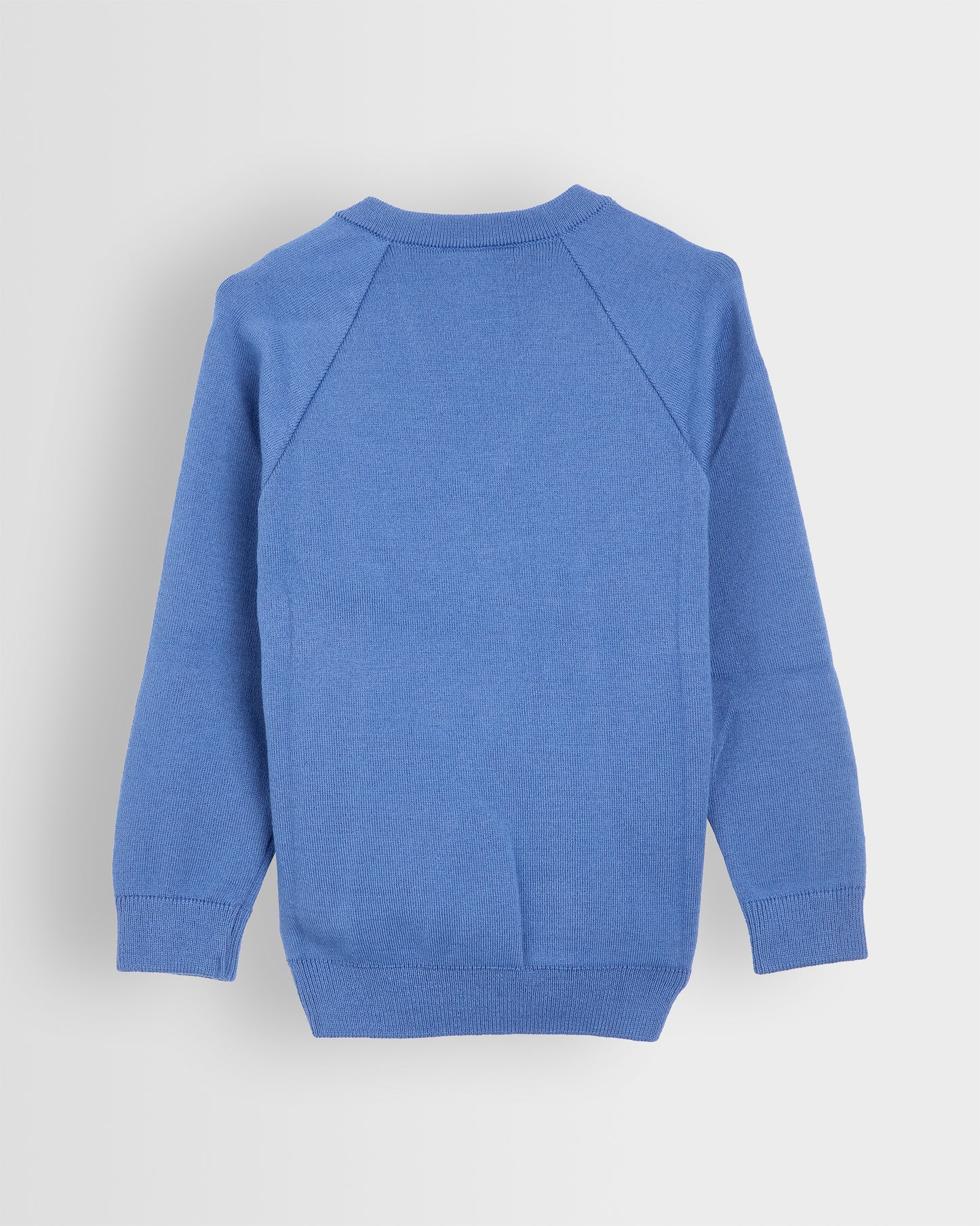 Unisex Blue V Neck Sweater