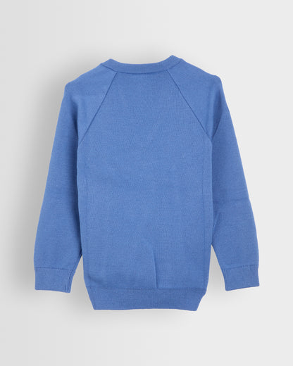 Unisex Blue V Neck Sweater