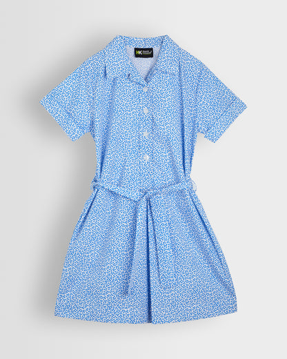 Girls Blue-White Floral Dress