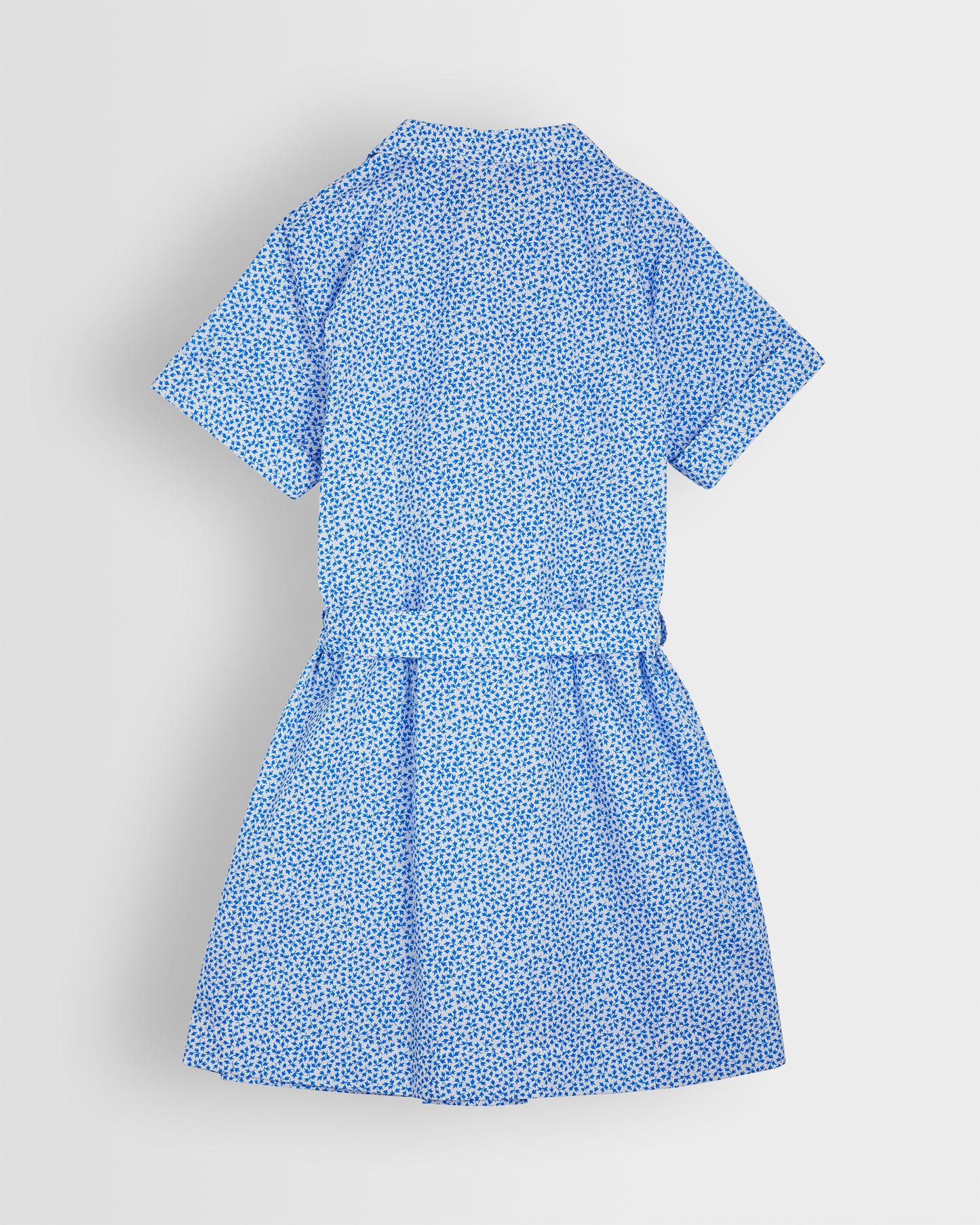 Girls Blue-White Floral Dress