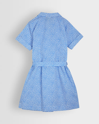 Girls Blue-White Floral Dress