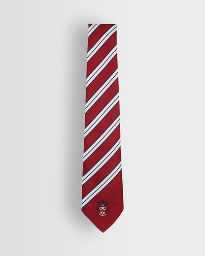 Unisex House Ties - Years 8 to 11 (all colours)