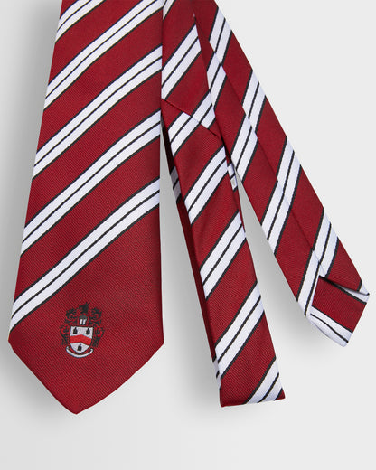 Unisex House Ties - Years 8 to 11 (all colours)