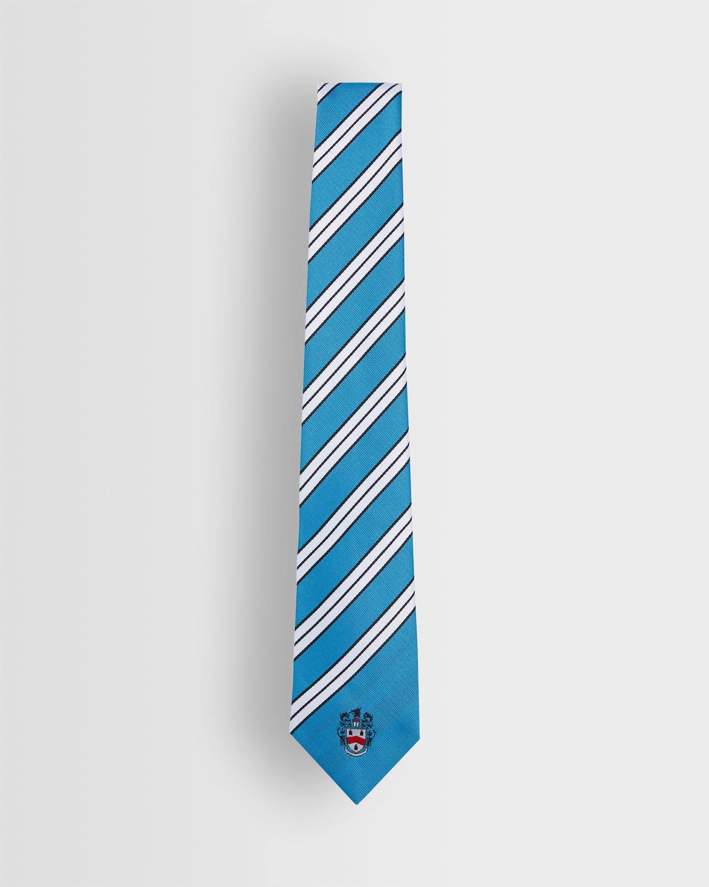Unisex House Ties - Years 8 to 11 (all colours)