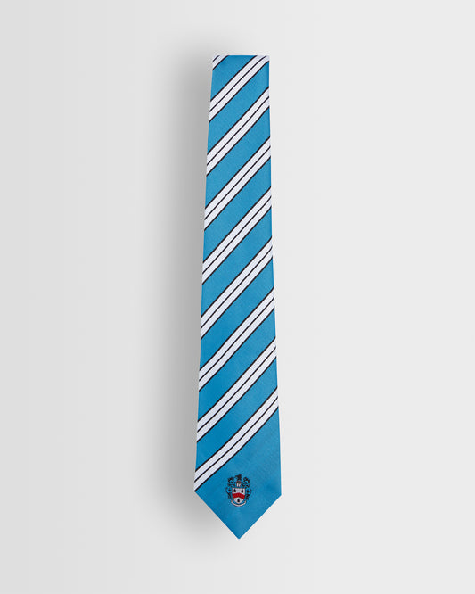 Unisex House Ties - Years 8 to 11 (all colours)