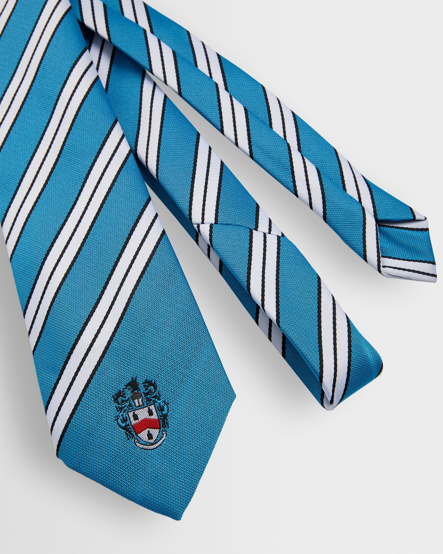 Unisex House Ties - Years 8 to 11 (all colours)