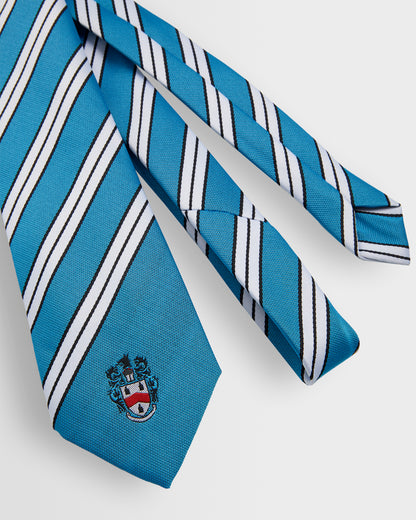Unisex House Ties - Years 8 to 11 (all colours)