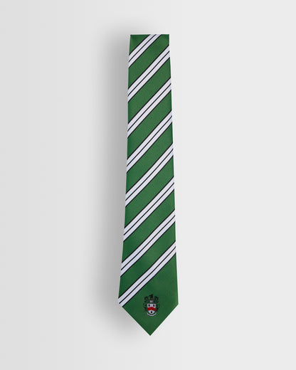 Unisex House Ties - Years 8 to 11 (all colours)
