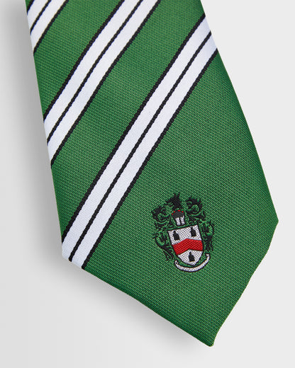 Unisex House Ties - Years 8 to 11 (all colours)