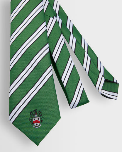 Unisex House Ties - Years 8 to 11 (all colours)